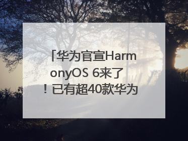 华为官宣HarmonyOS 6来了！已有超40款华为终端搭载鸿蒙5，开发者突破800万