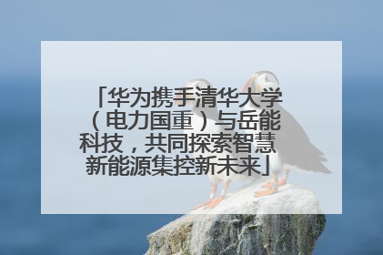 华为携手清华大学（电力国重）与岳能科技，共同探索智慧新能源集控新未来