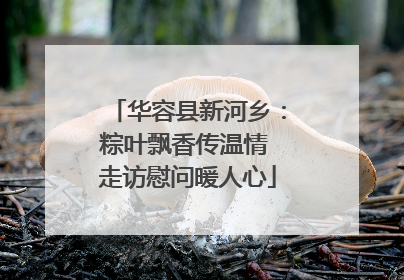 华容县新河乡：粽叶飘香传温情 走访慰问暖人心