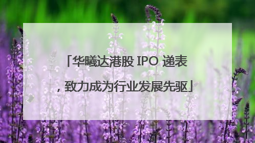 华曦达港股 IPO 递表，致力成为行业发展先驱