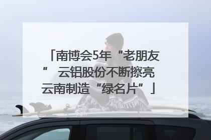 南博会5年“老朋友” 云铝股份不断擦亮云南制造“绿名片”