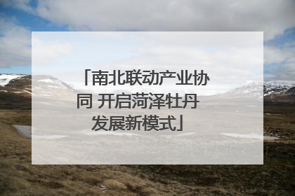 南北联动产业协同 开启菏泽牡丹发展新模式