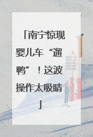 南宁惊现婴儿车“遛鸭”！这波操作太吸睛