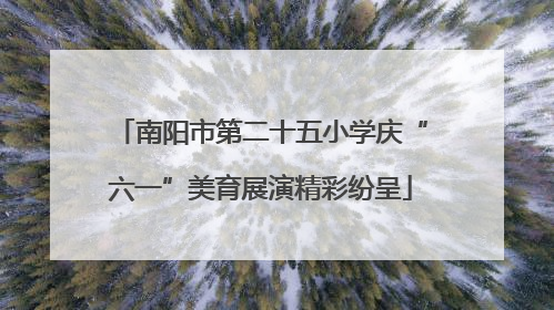 南阳市第二十五小学庆“六一”美育展演精彩纷呈