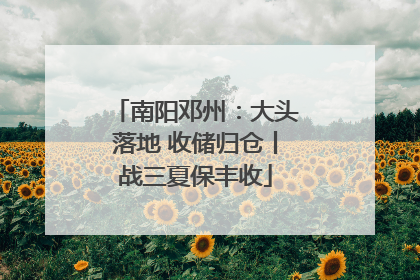 南阳邓州：大头落地 收储归仓丨战三夏保丰收