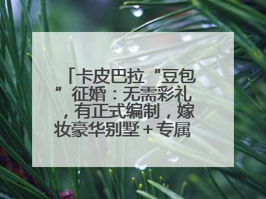卡皮巴拉“豆包”征婚：无需彩礼，有正式编制，嫁妆豪华别墅＋专属泳池！