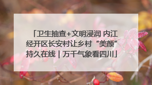 卫生抽查+文明浸润 内江经开区长安村让乡村“美颜”持久在线｜万千气象看四川