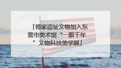 傅家遗址文物加入东营市美术馆“一眼千年”文物科技美学展