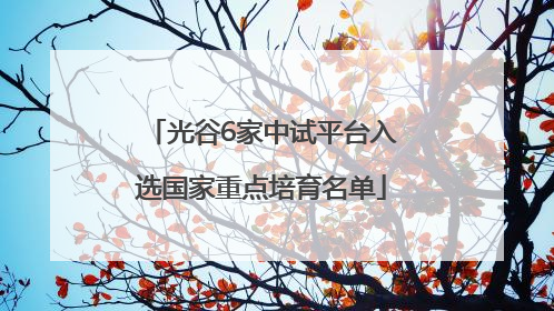 光谷6家中试平台入选国家重点培育名单