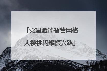 党建赋能智管网格 大樱桃闪耀振兴路