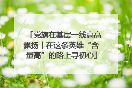 党旗在基层一线高高飘扬丨在这条英雄“含量高”的路上寻初心