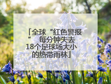 全球“红色警报”  每分钟失去18个足球场大小的热带雨林