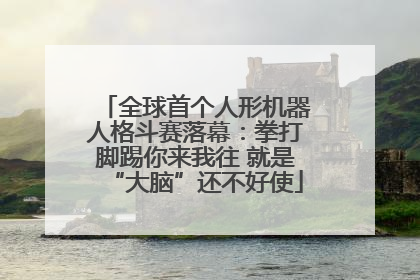 全球首个人形机器人格斗赛落幕：拳打脚踢你来我往 就是“大脑”还不好使