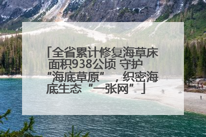 全省累计修复海草床面积938公顷 守护“海底草原”，织密海底生态“一张网”