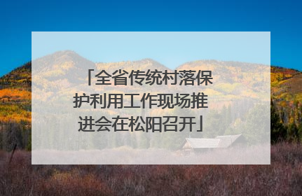 全省传统村落保护利用工作现场推进会在松阳召开