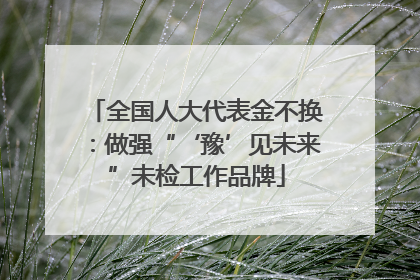 全国人大代表金不换：做强“‘豫’见未来”未检工作品牌