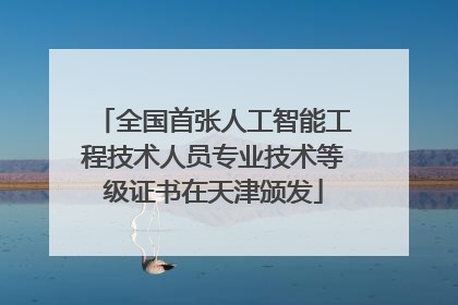 全国首张人工智能工程技术人员专业技术等级证书在天津颁发