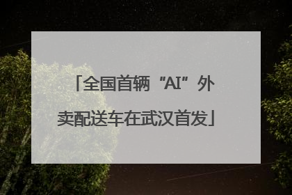 全国首辆“AI”外卖配送车在武汉首发