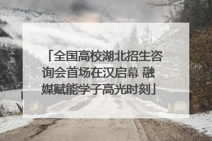 全国高校湖北招生咨询会首场在汉启幕 融媒赋能学子高光时刻