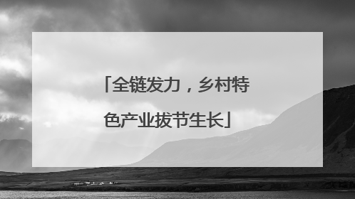 全链发力，乡村特色产业拔节生长