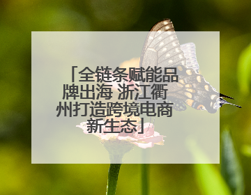 全链条赋能品牌出海 浙江衢州打造跨境电商新生态