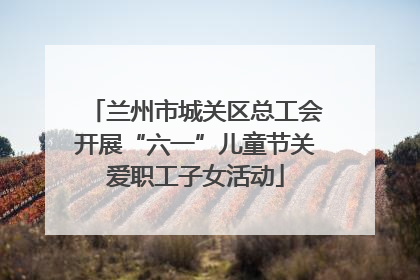 兰州市城关区总工会开展“六一”儿童节关爱职工子女活动
