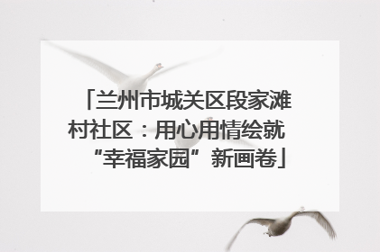兰州市城关区段家滩村社区：用心用情绘就“幸福家园”新画卷