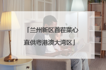 兰州新区首茬菜心直供粤港澳大湾区