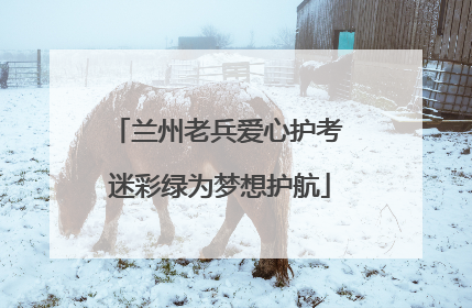 兰州老兵爱心护考 迷彩绿为梦想护航