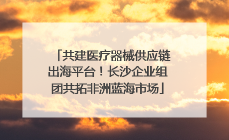 共建医疗器械供应链出海平台！长沙企业组团共拓非洲蓝海市场