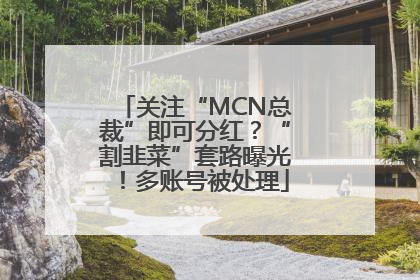 关注“MCN总裁”即可分红？“割韭菜”套路曝光！多账号被处理