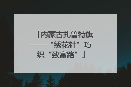 内蒙古扎鲁特旗——“绣花针”巧织“致富路”