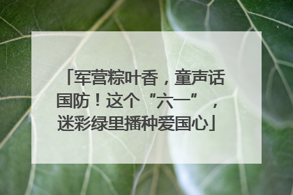 军营粽叶香，童声话国防！这个“六一”，迷彩绿里播种爱国心