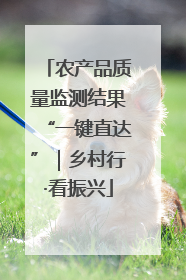 农产品质量监测结果“一键直达”｜乡村行·看振兴