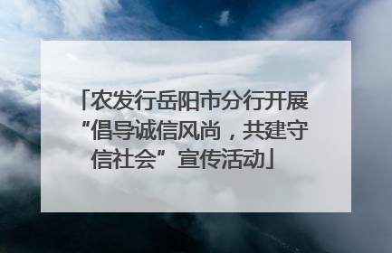 农发行岳阳市分行开展“倡导诚信风尚，共建守信社会”宣传活动