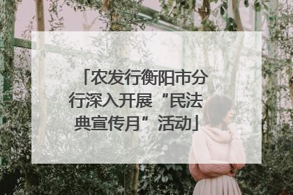 农发行衡阳市分行深入开展“民法典宣传月”活动