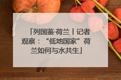 列国鉴·荷兰丨记者观察：“低地国家”荷兰如何与水共生