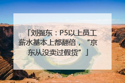 刘强东：P5以上员工薪水基本上都翻倍，“京东从没卖过假货”
