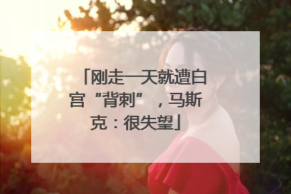 刚走一天就遭白宫“背刺”，马斯克：很失望