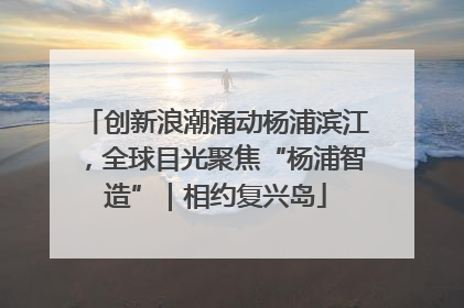 创新浪潮涌动杨浦滨江，全球目光聚焦“杨浦智造”｜相约复兴岛