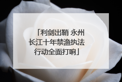 利剑出鞘 永州长江十年禁渔执法行动全面打响