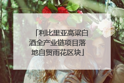 利比里亚高粱白酒全产业链项目落地自贸雨花区块