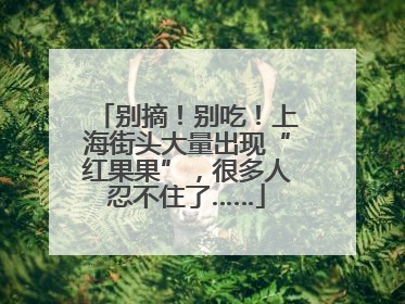 别摘！别吃！上海街头大量出现“红果果”，很多人忍不住了……