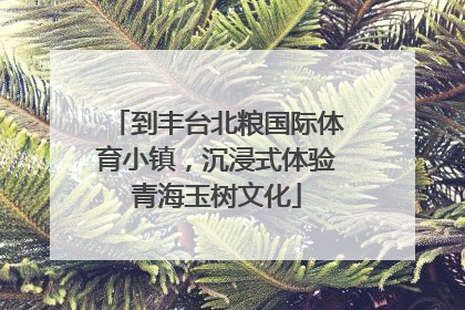到丰台北粮国际体育小镇，沉浸式体验青海玉树文化