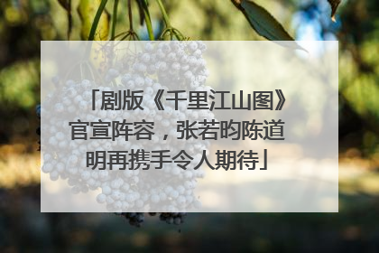 剧版《千里江山图》官宣阵容，张若昀陈道明再携手令人期待
