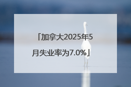 加拿大2025年5月失业率为7.0%