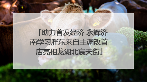 助力首发经济 永辉济南学习胖东来自主调改首店亮相龙湖北宸天街