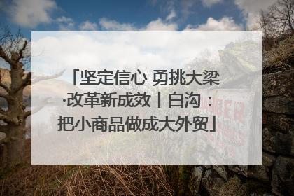 坚定信心 勇挑大梁·改革新成效丨白沟：把小商品做成大外贸
