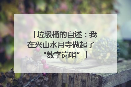 垃圾桶的自述：我在兴山水月寺做起了“数字岗哨”