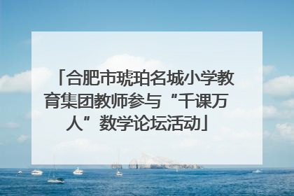 合肥市琥珀名城小学教育集团教师参与“千课万人”数学论坛活动